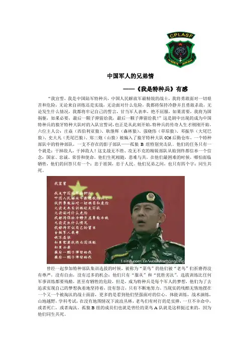我是特种兵剧评