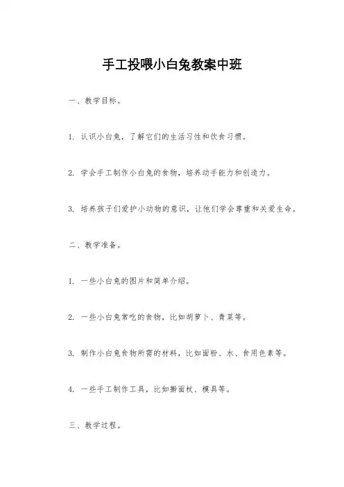 手工投喂小白兔教案中班
