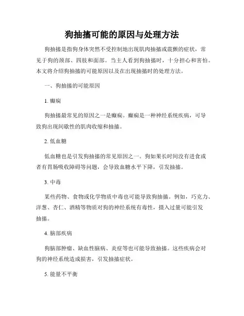 狗抽搐可能的原因与处理方法