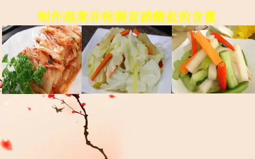 人教版高中生物选修一 1.3 制作泡菜并检测亚硝酸盐的含量 (共19张PPT)
