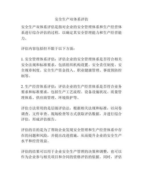 安全生产双体系评估