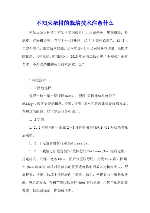 不知火杂柑的栽培技术注意什么