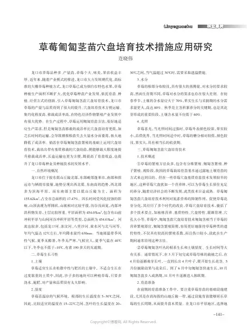 草莓匍匐茎苗穴盘培育技术措施应用研究