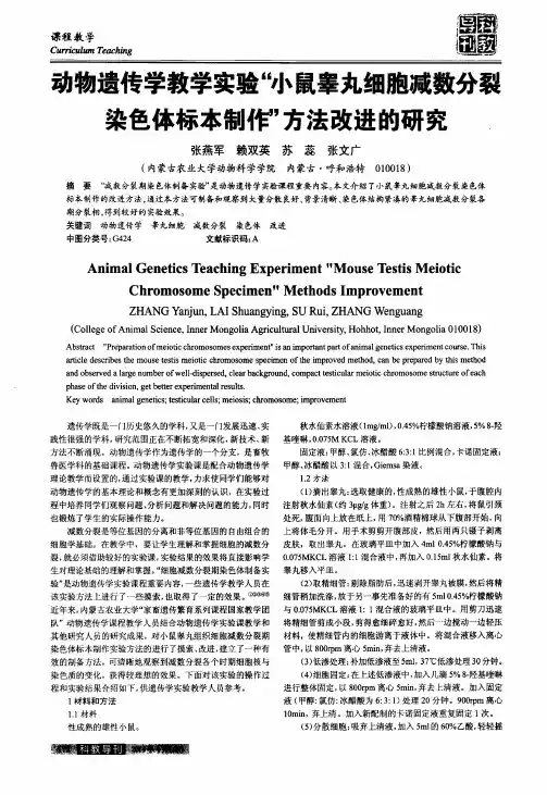 动物遗传学教学实验“小鼠睾丸细胞减数分裂染色体标本制作”方法