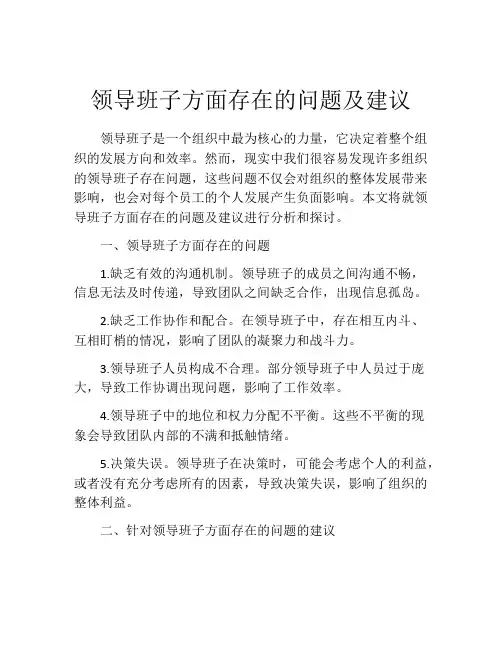 领导班子方面存在的问题及建议