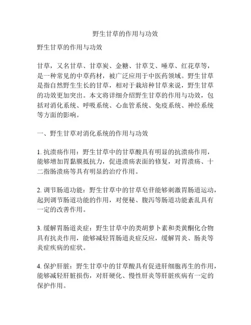 野生甘草的作用与功效