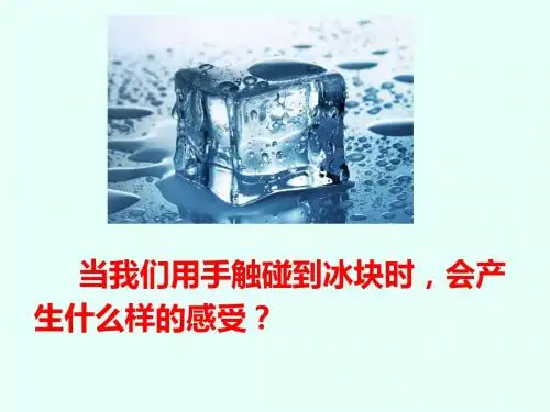 最新5.1《意识的本质》