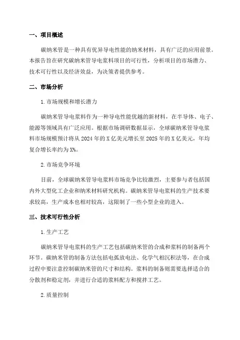 2024年碳纳米管导电浆料项目可行性研究报告