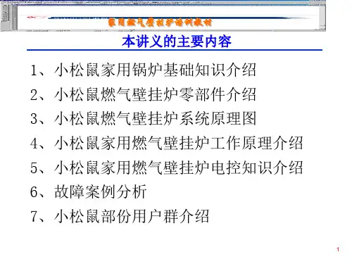 小松鼠壁挂炉培训讲义课件