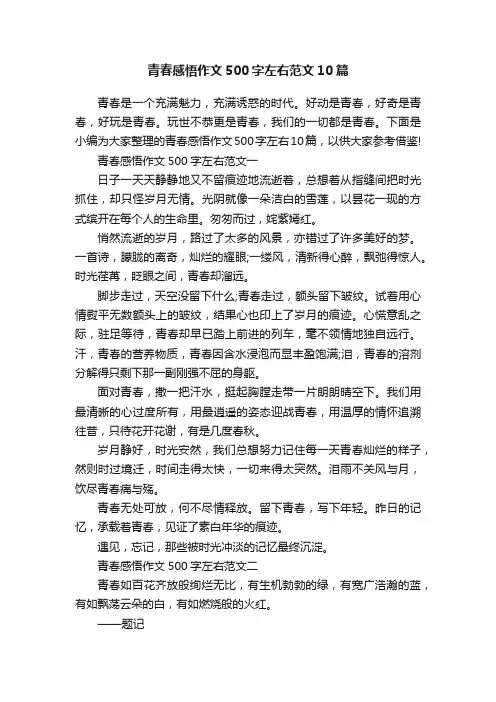 青春感悟作文500字左右范文10篇