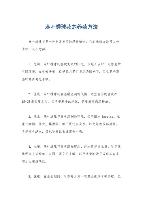 麻叶绣球花的养殖方法