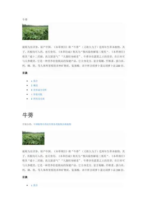 牛蒡