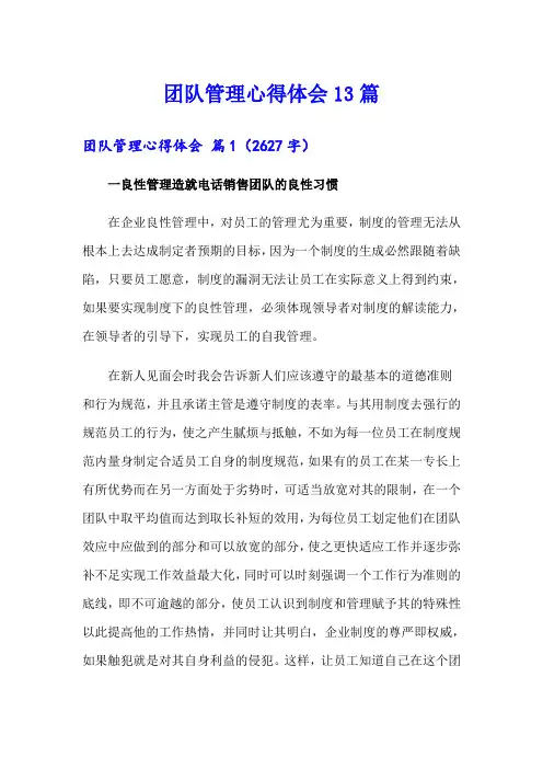 团队管理心得体会13篇