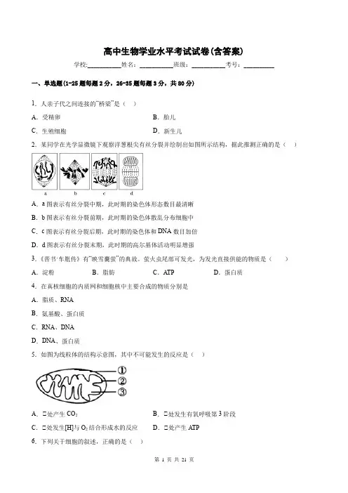 高中生物学业水平考试试卷(含答案)
