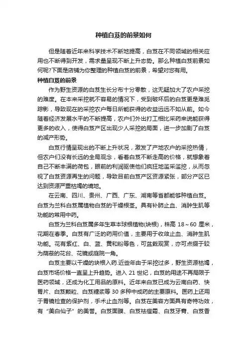 种植白芨的前景如何
