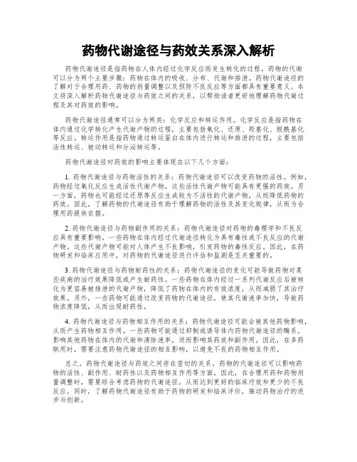 药物代谢途径与药效关系深入解析