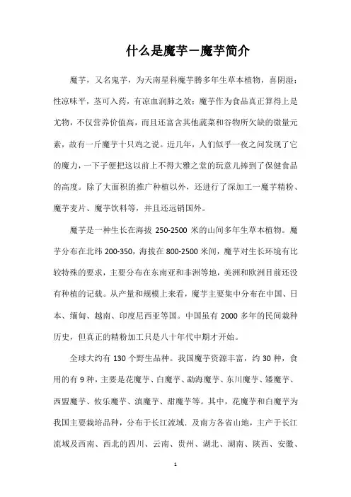 什么是魔芋-魔芋简介
