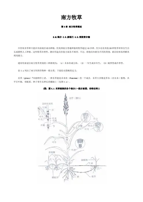 04南方牧草-第4章 南方牧草概述