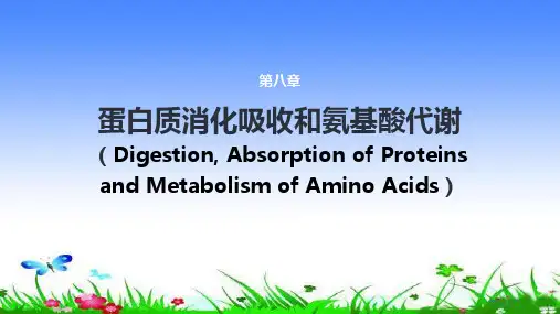 蛋白质消化吸收和氨基酸代谢
