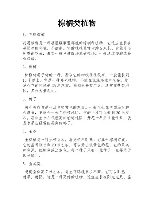 棕榈类植物