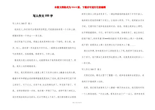 写人作文500字