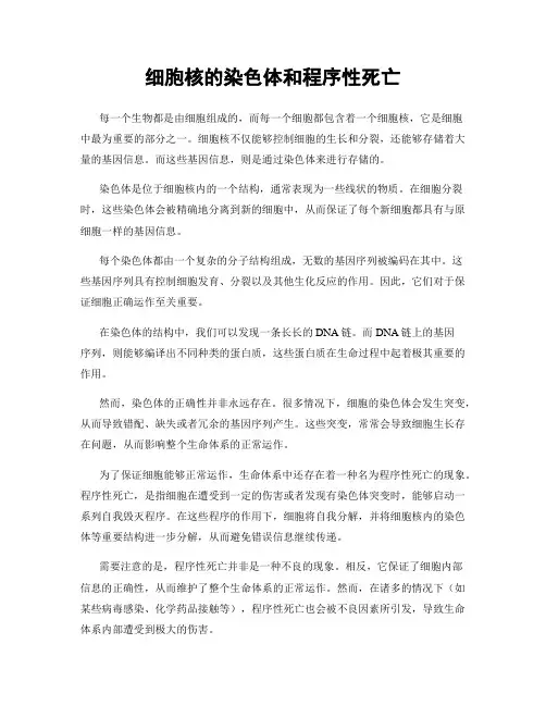 细胞核的染色体和程序性死亡