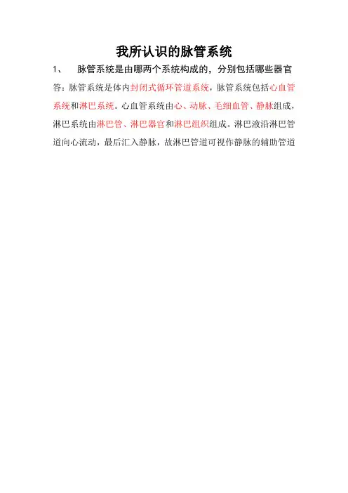 脉管系统