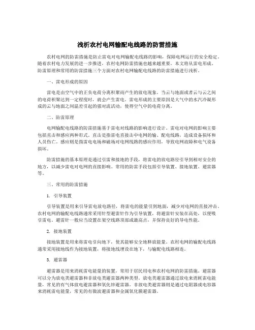 浅析农村电网输配电线路的防雷措施