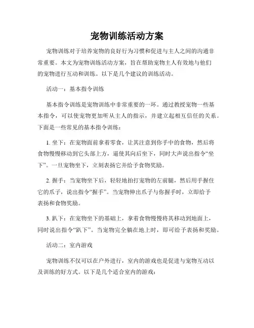 宠物训练活动方案