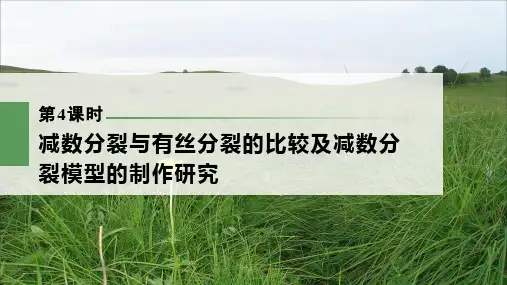 一轮复习  浙科版 减数分裂与有丝分裂的比较及减数分裂模型的制作研究(83张) 课件
