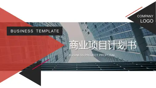 关于APP类融资计划书的PPT