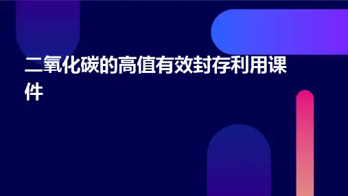 二氧化碳的高值有效封存利用课件