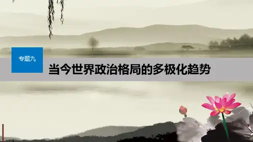 高中历史专题九当今世界政治格局的多极化趋势第2课新兴力量的崛起课件人民版必修1