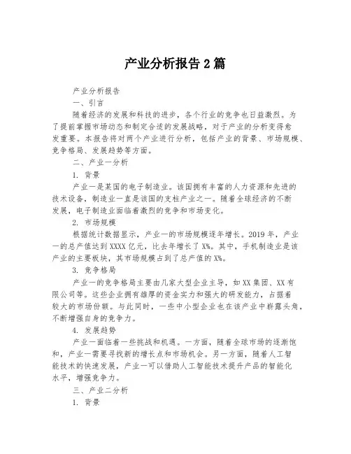 产业分析报告