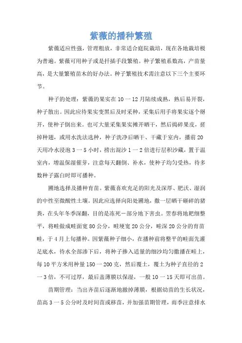 紫薇的播种繁殖