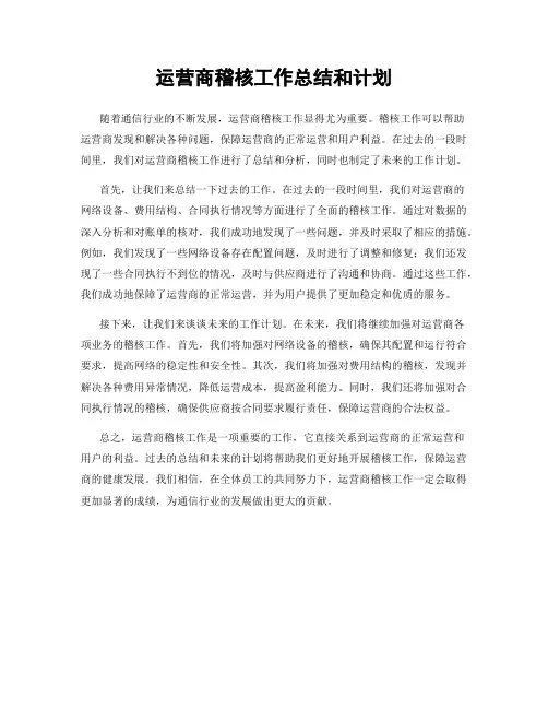 运营商稽核工作总结和计划