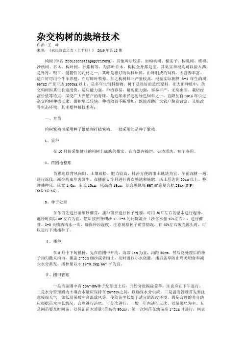 杂交构树的栽培技术