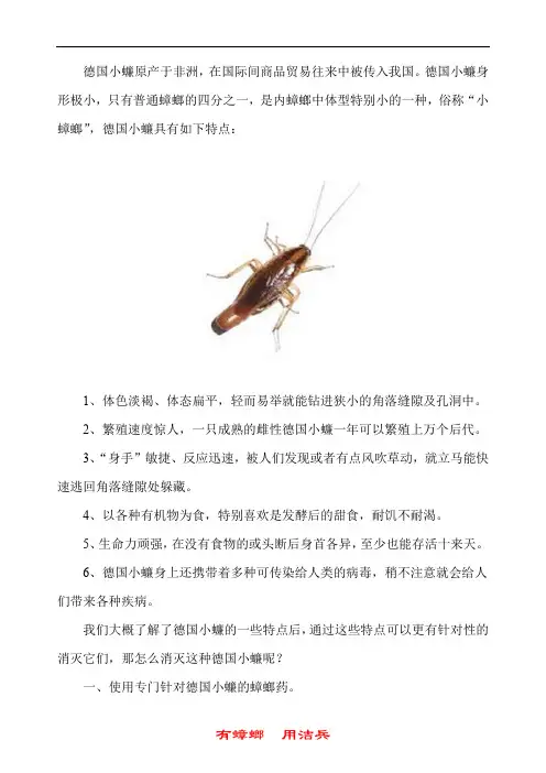 德国小蠊怎么来的