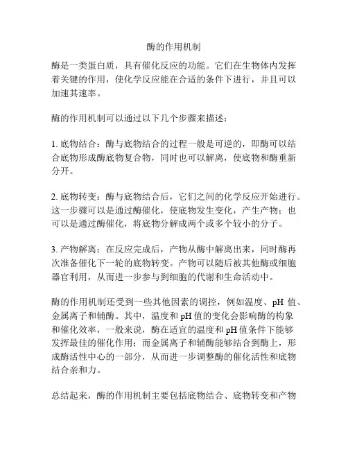 酶的作用机制