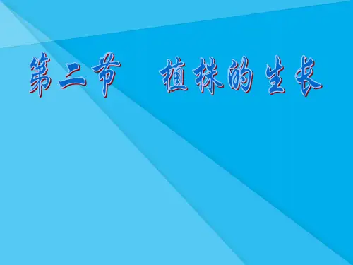 植株的生长PPT课件1 人教版优秀课件
