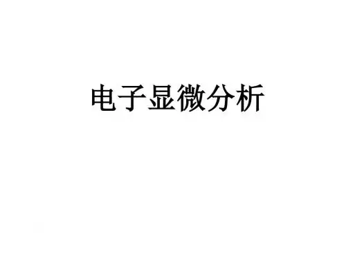 电子显微分析