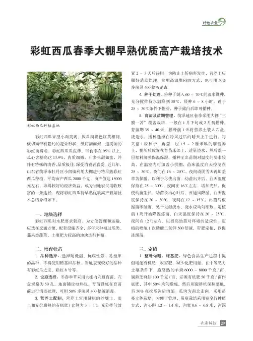 彩虹西瓜春季大棚早熟优质高产栽培技术