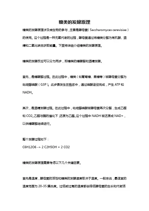 糖类的发酵原理