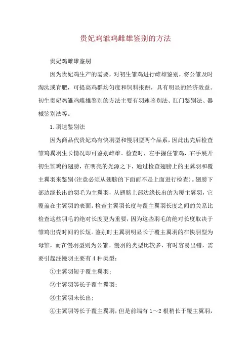 贵妃鸡雏鸡雌雄鉴别的方法
