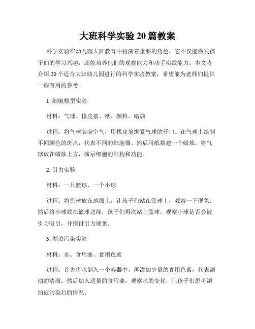 大班科学实验20篇教案