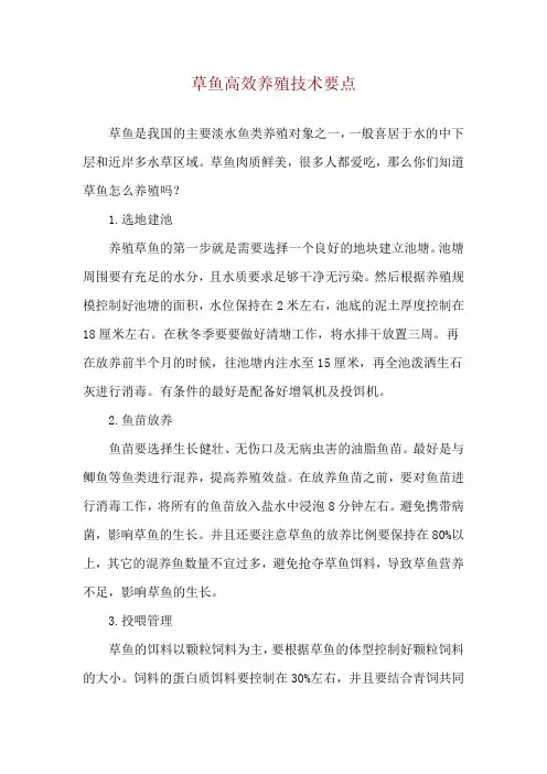 草鱼高效养殖技术要点