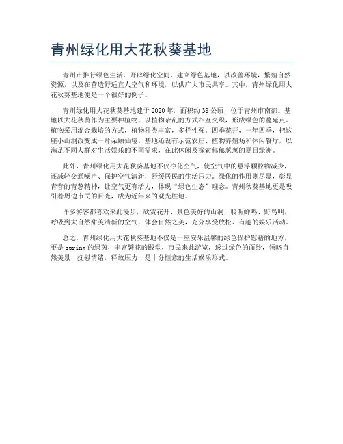 青州绿化用大花秋葵基地