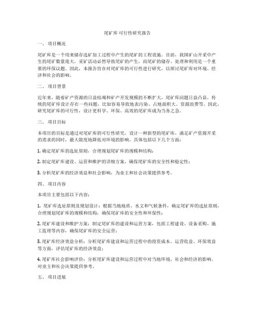 尾矿库 可行性研究报告