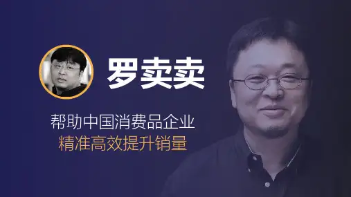 罗永浩电商直播商业计划书