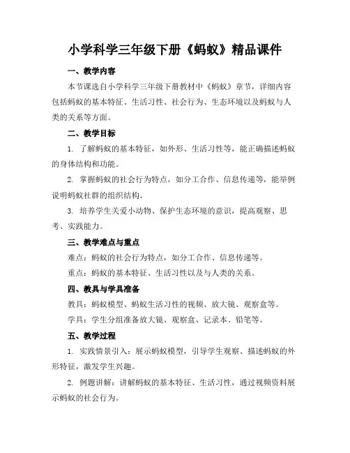 小学科学三年级下册《蚂蚁》精品课件